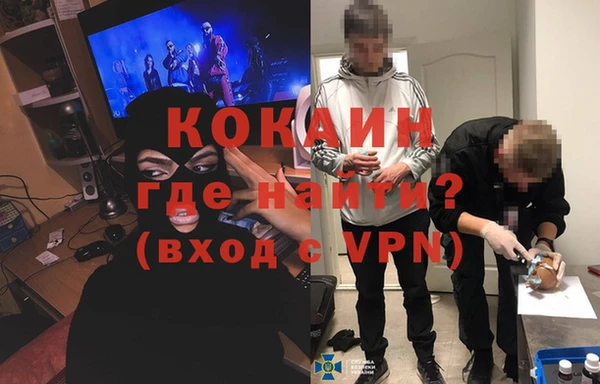 сатива Гусь-Хрустальный