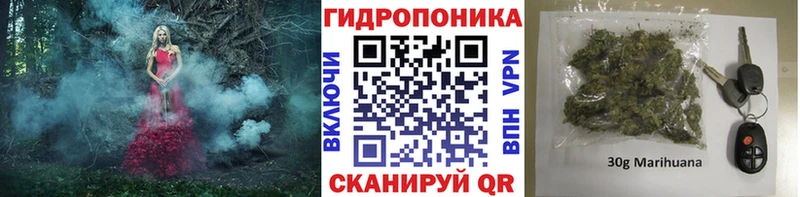Бошки Шишки ГИДРОПОН  купить   Дубовка 